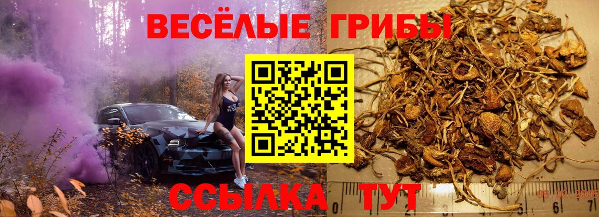 Галлюциногенные грибы мухоморы Мурино