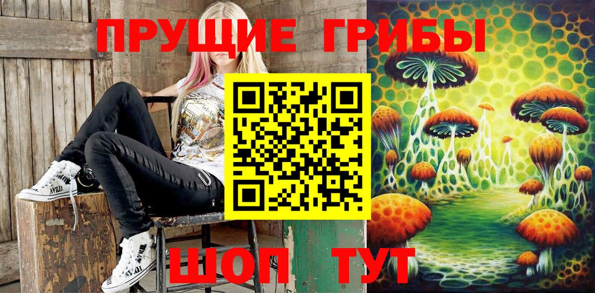 Галлюциногенные грибы Psilocybe  продажа наркотиков  Галлюциногенные грибы Psilocybine cubensis  Мурино  Вход с VPN 