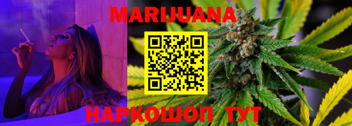 Бошки Шишки план Мурино